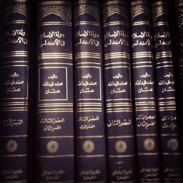 من تاريخ الخيول الأموية على أرض فرنسا 3 كتاب تاريخ دولة الإسلام في الأندلس لابن عنان
